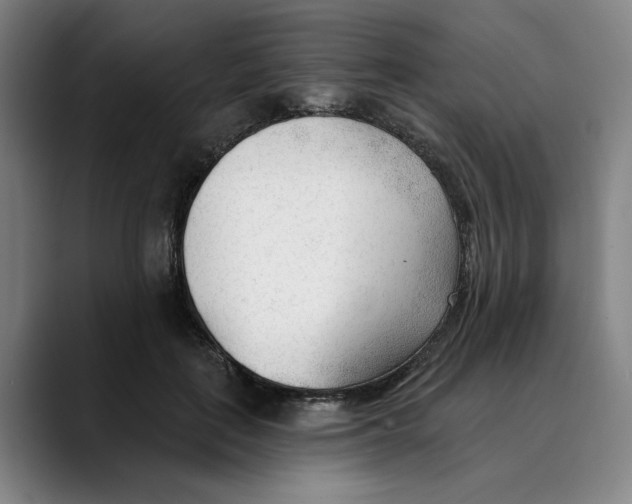 X0000089340651200707131513
