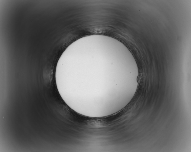 X0000089340652200707131513