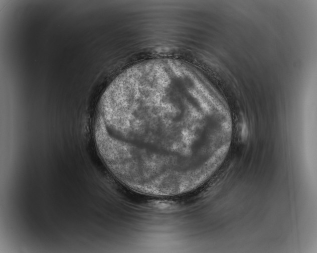 X0000089340654200707131513