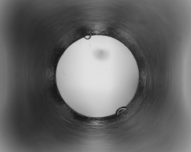 X0000089340657200707131513