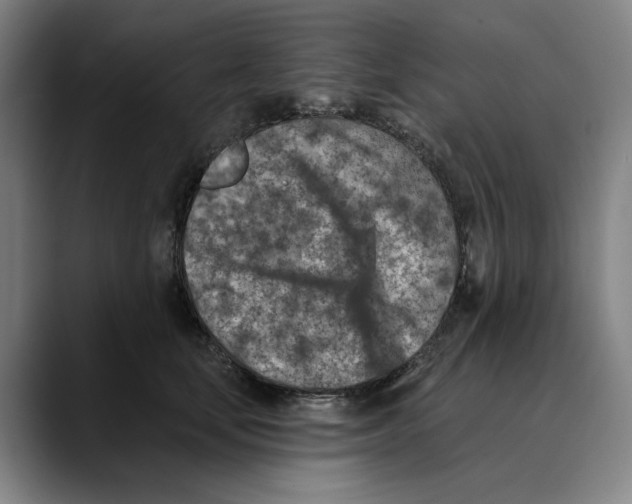 X0000089340659200707131513