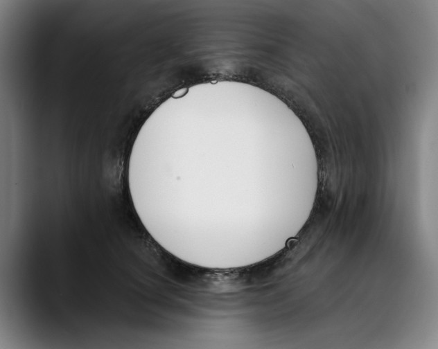 X0000089340660200707131513
