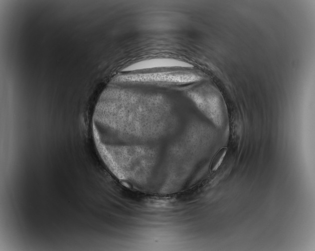 X0000089340661200707131513