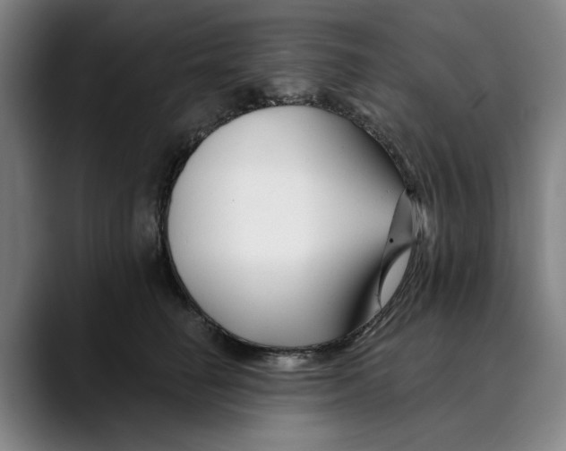 X0000089340662200707131513