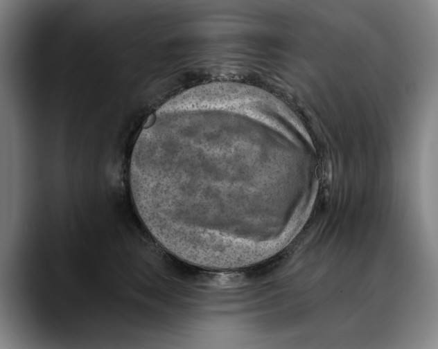 X0000089340663200707131513