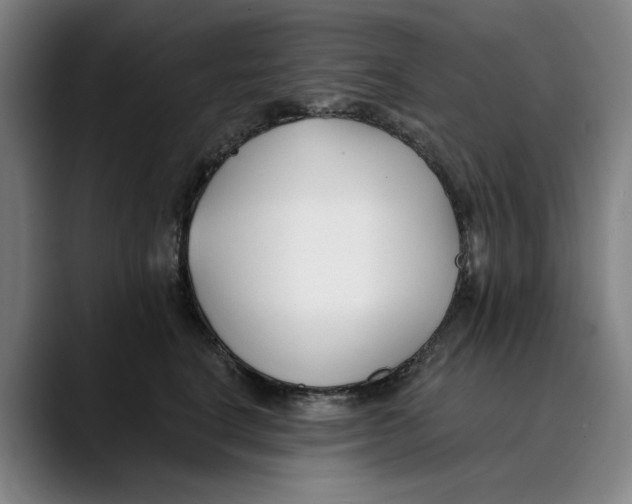 X0000089340664200707131513