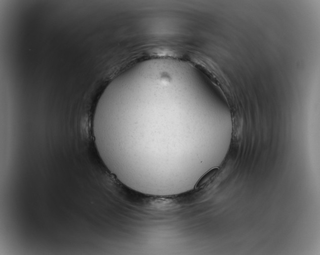 X0000089340669200707131513