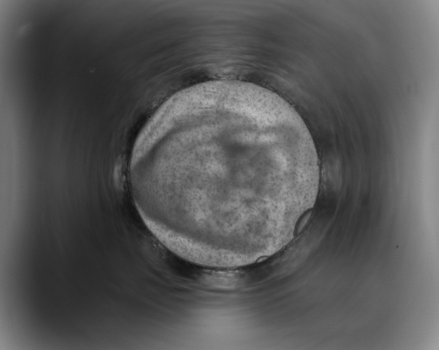 X0000089340671200707131513