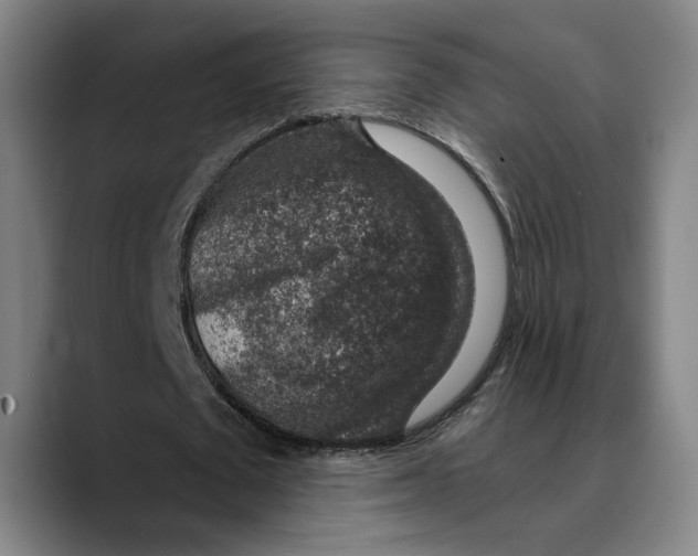 X0000089340673200707131513