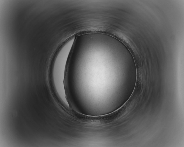 X0000089340677200707131513