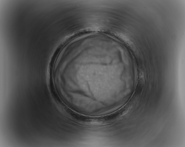 X0000089340678200707131513