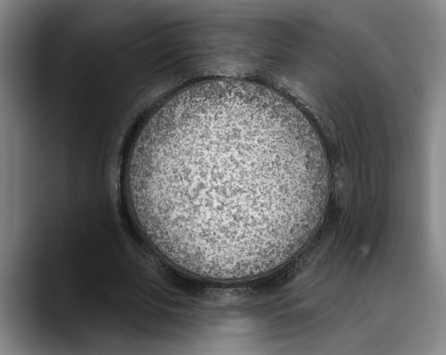 X0000089340679200707131513