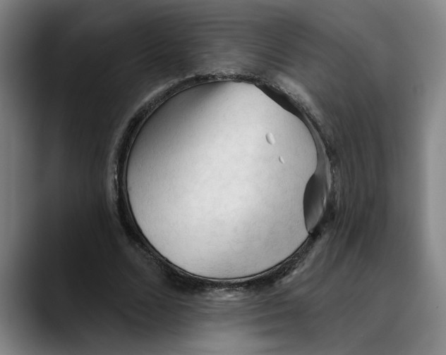 X0000089340680200707131513