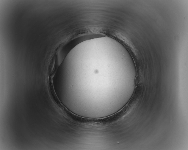 X0000089340681200707131512
