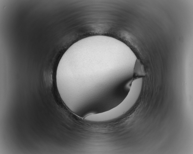 X0000089340685200707131512