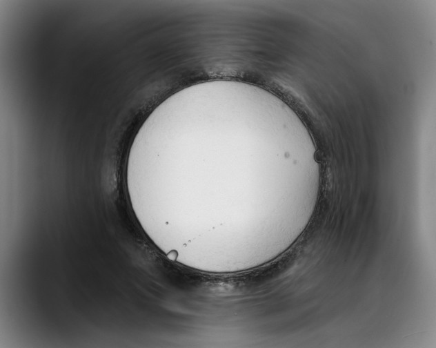 X0000089340687200707131512