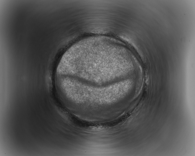 X0000089340688200707131512