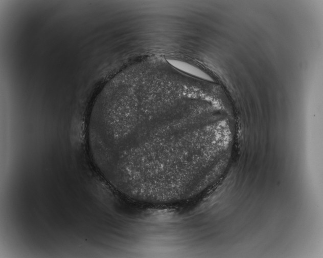 X0000089340689200707131512