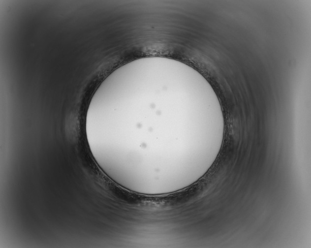 X0000089340690200707131512