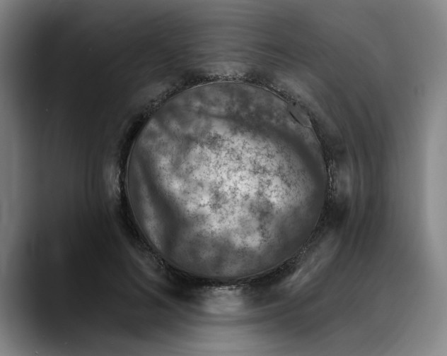 X0000089340692200707131512
