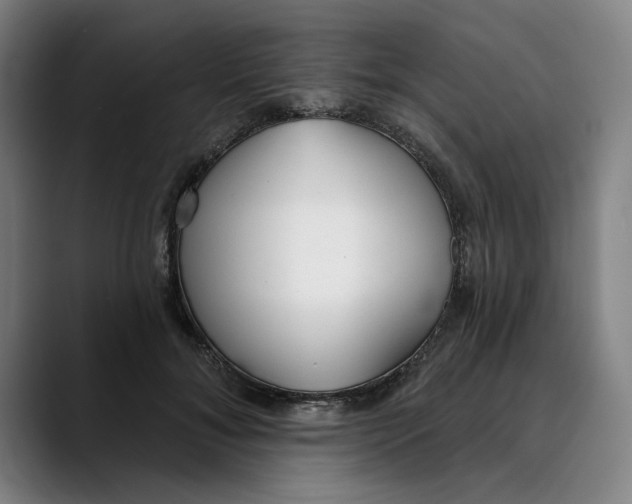 X0000089340700200707131512