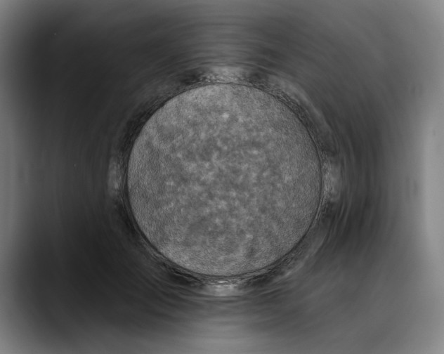 X0000089340701200707131512