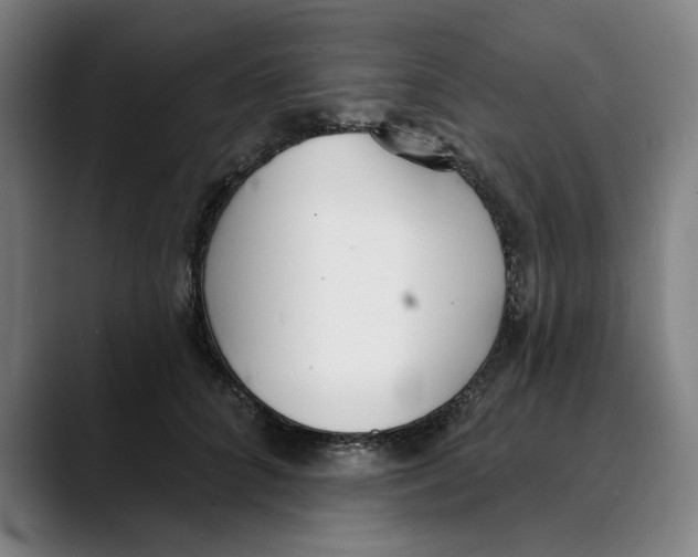 X0000089340704200707131512