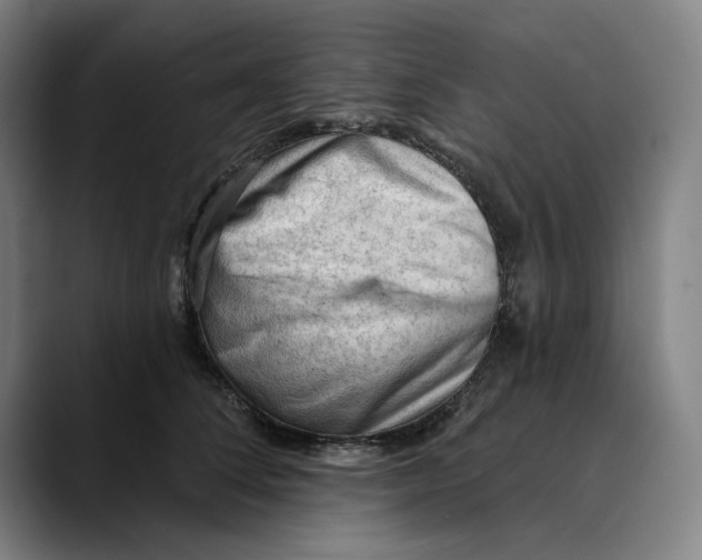 X0000089340708200707131512