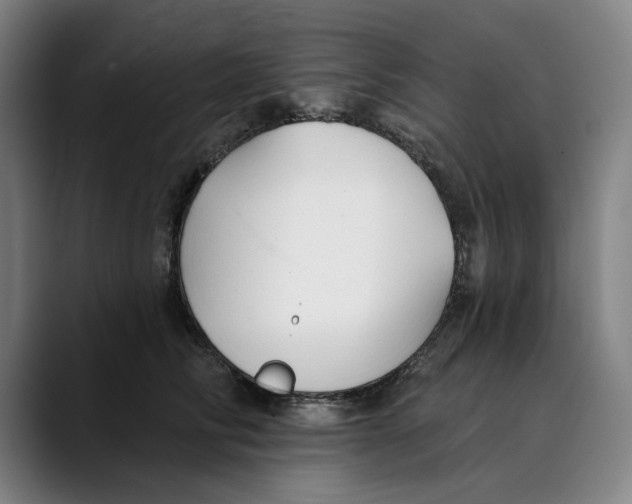 X0000089340710200707131512