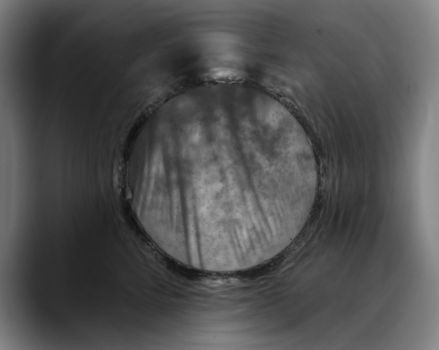 X0000089340712200707131512