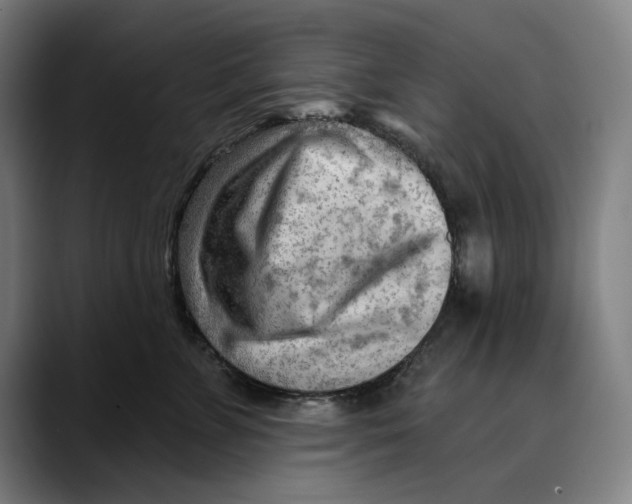 X0000089340715200707131512