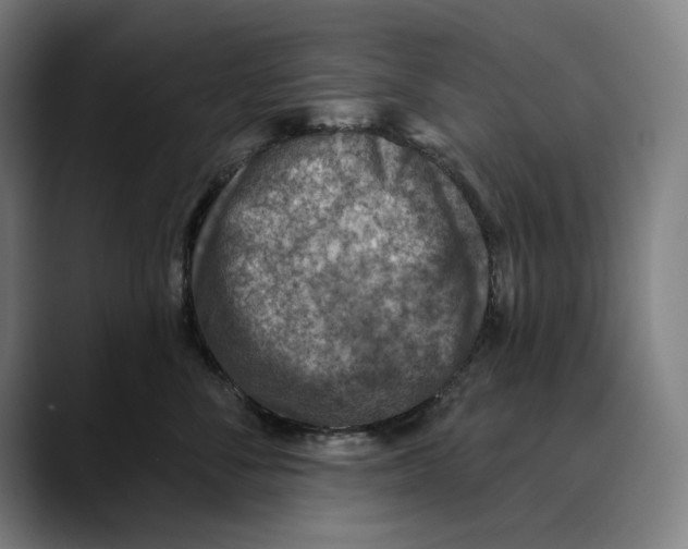 X0000089340716200707131512