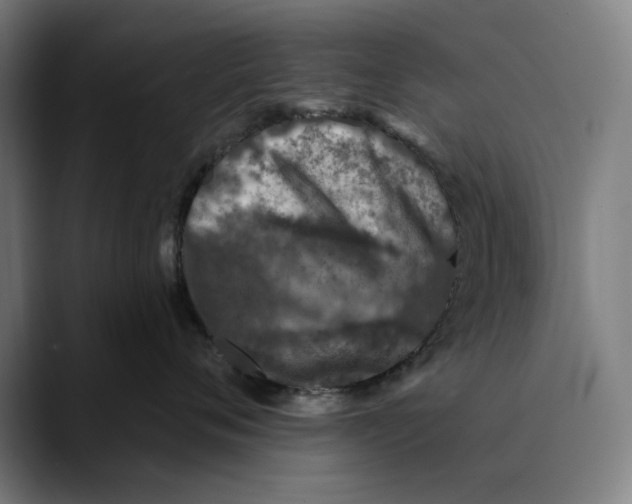 X0000089340720200707131512