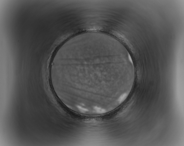 X0000089340721200707131511