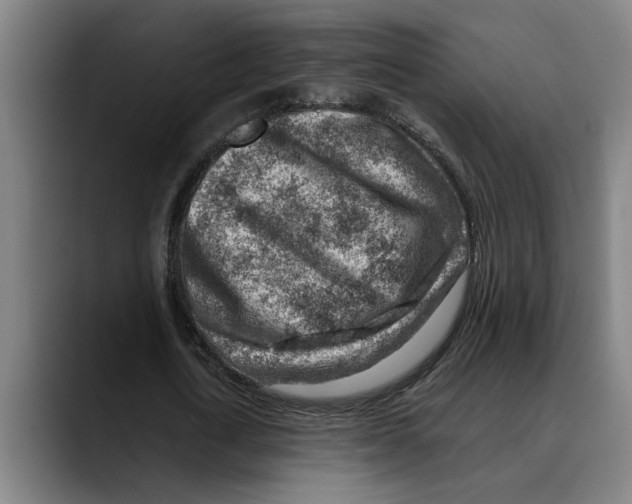 X0000089340722200707131511