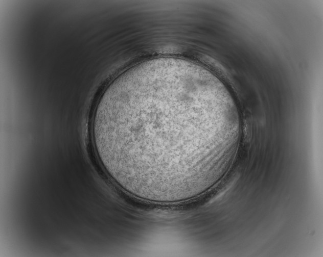 X0000089340725200707131512