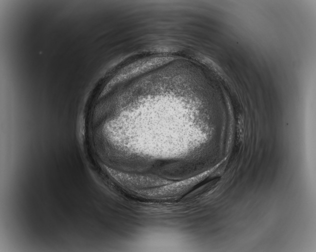 X0000089340726200707131512