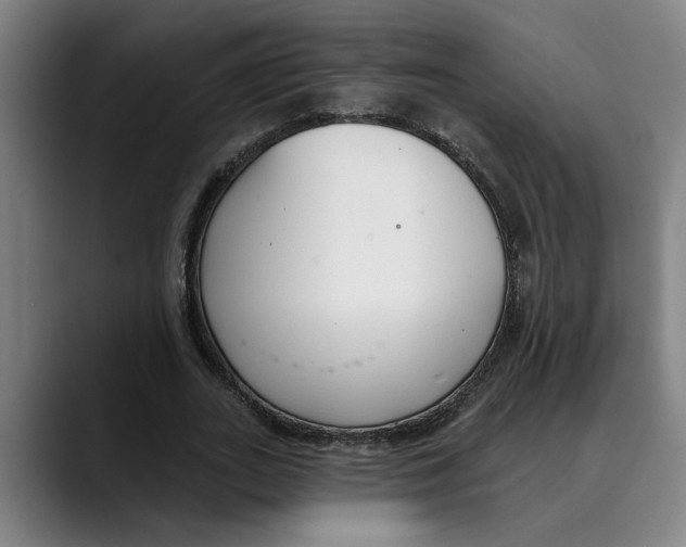 X0000089340727200707131512