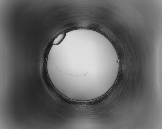 X0000089340728200707131512