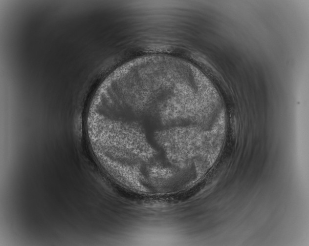 X0000089340729200707131512