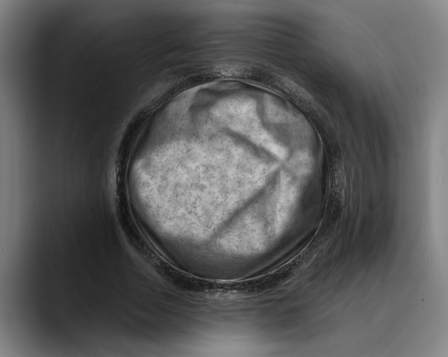 X0000089340730200707131512