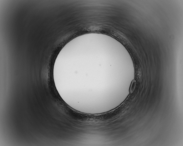 X0000089340732200707131512