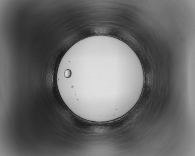 X0000089340733200707131512