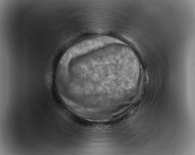 X0000089340736200707131512
