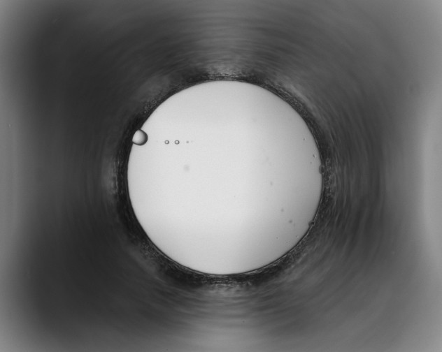 X0000089340738200707131512
