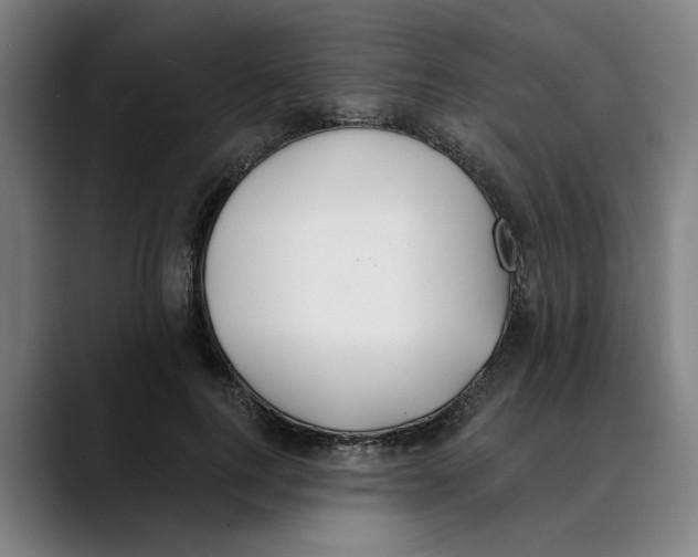 X0000089340744200707131512