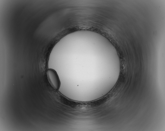 X0000089340745200707131512