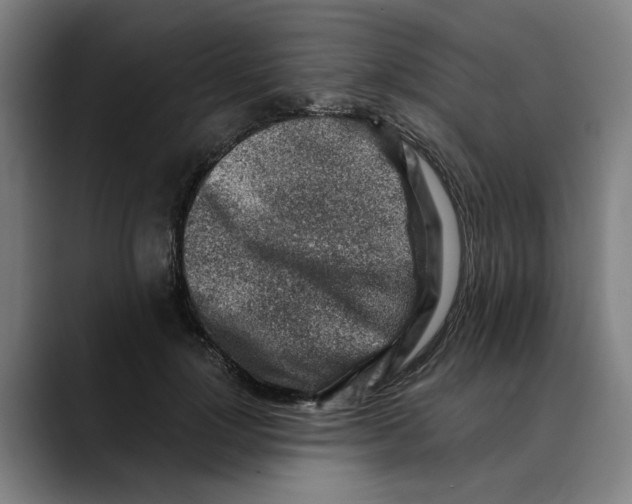 X0000089340748200707131512