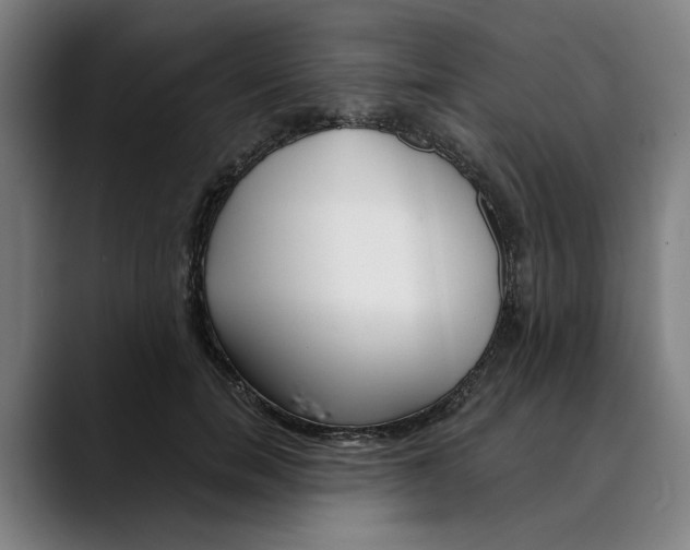 X0000089340750200707131512