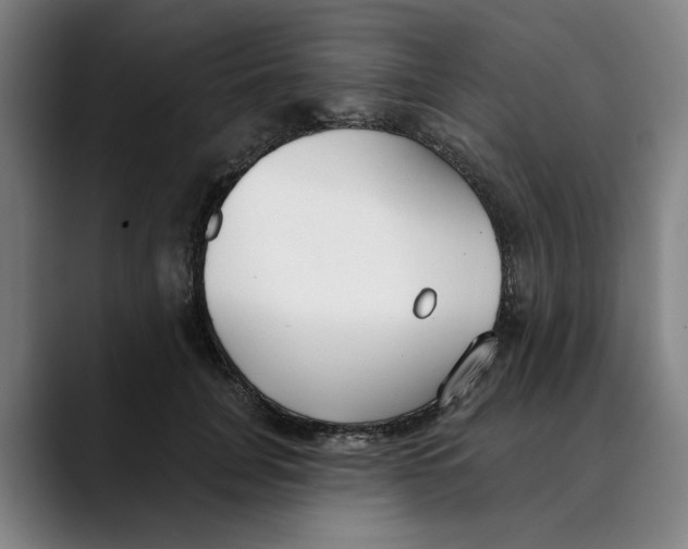 X0000089340751200707131512